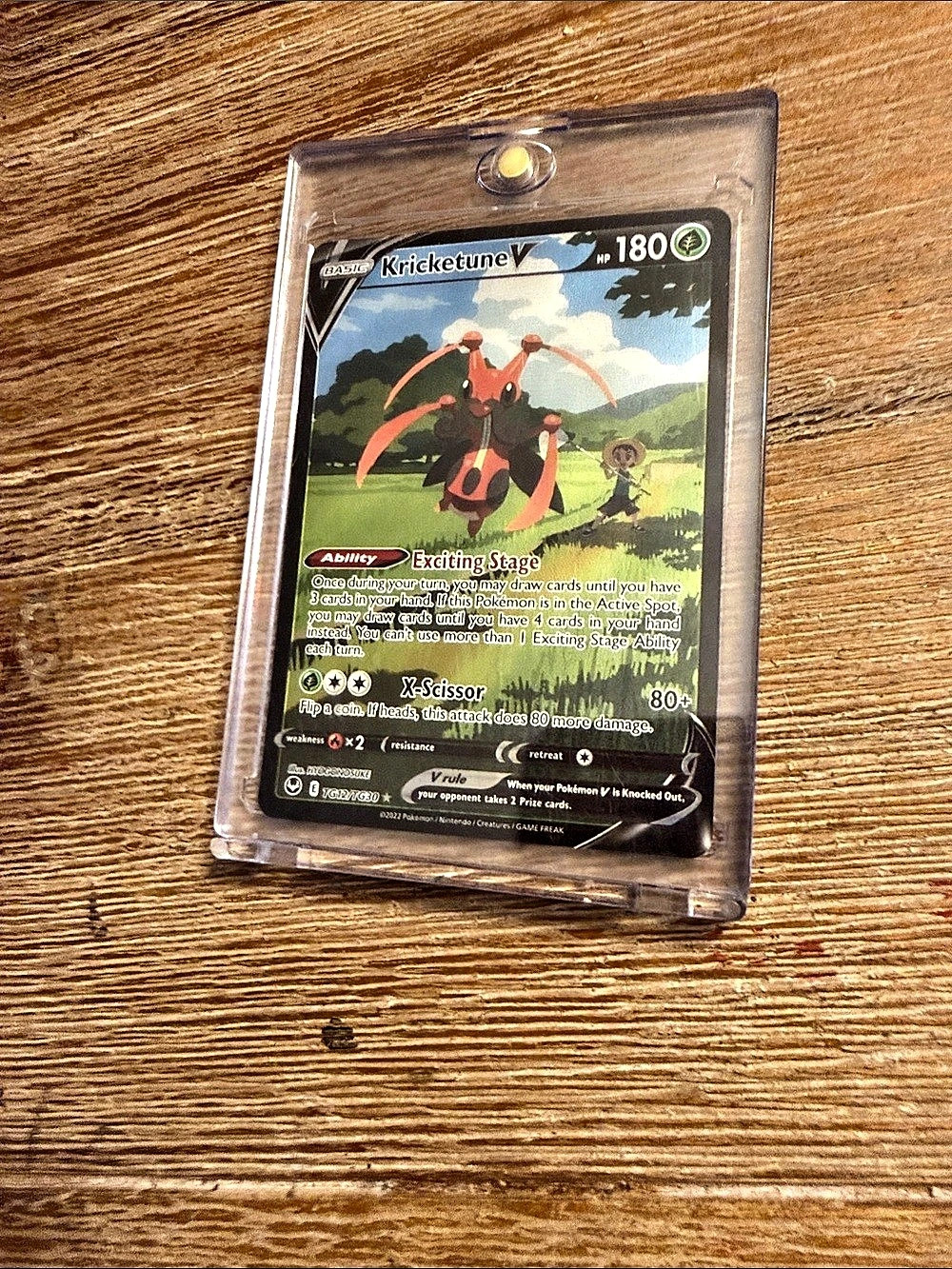 Pokémon Kricketune V (Trainer Gallery TG12/TG30) Trading Card Black & Red